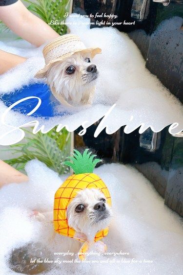 强烈建议所有玻璃心家长锁死这家店[得意]