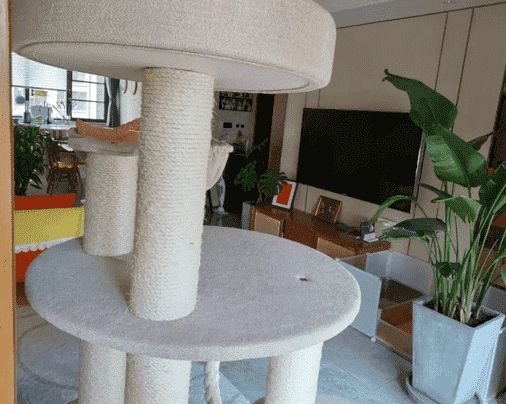 如何<a href=https://www.vso.com.cn/baike/xuangou/ target=_blank class=infotextkey>选购</a>猫爬架