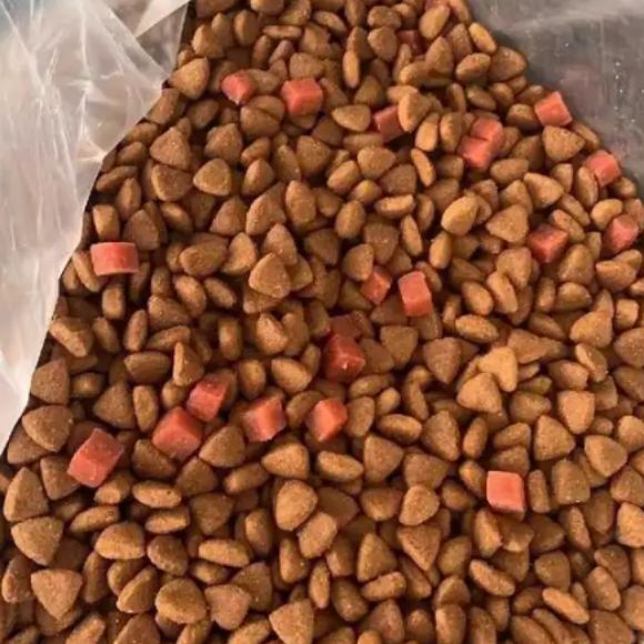 对肠胃好的狗粮推荐：皇家美生元专为小型犬设计营养方案