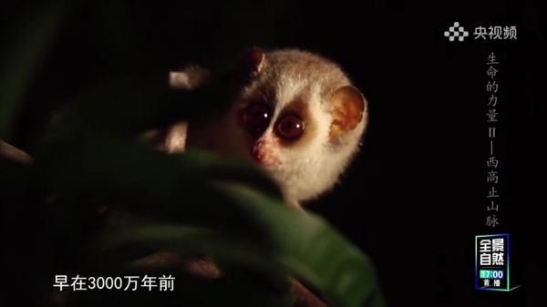 Thumbplayer Poster Plugin Image