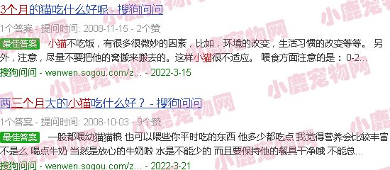 三个月小猫食谱