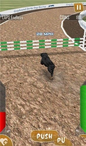 狗狗赛跑3D游戏