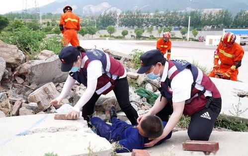 紧急救援：如何有效救治意外中毒的宠物？