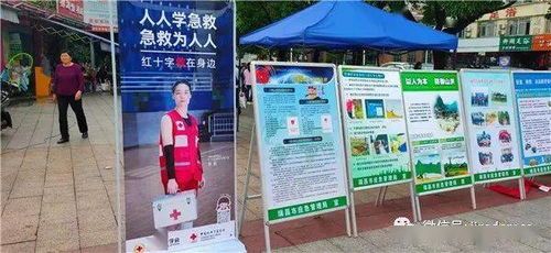 紧急救援：如何有效救治意外中毒的宠物？