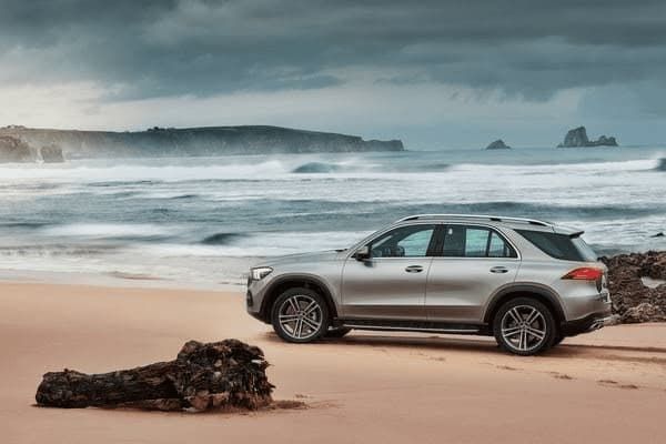 小型犬低脂粮怎么喂好些，小型犬低脂粮怎么喂好些呢