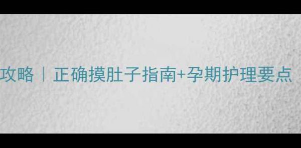 图片 拉布拉多怀孕触诊全攻略|正确摸肚子指南+孕期护理要点(附产前准备清单)2
