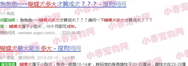 蝴蝶犬多大成年