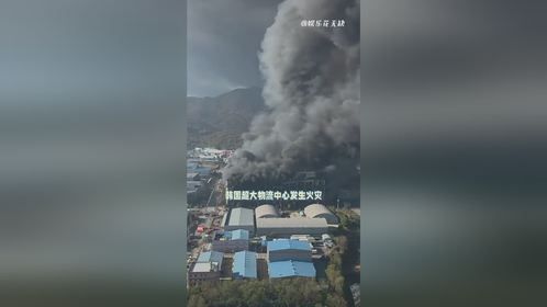 突然明白了深圳的前瞻性