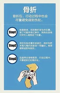 宠物拉肚急救必备常识