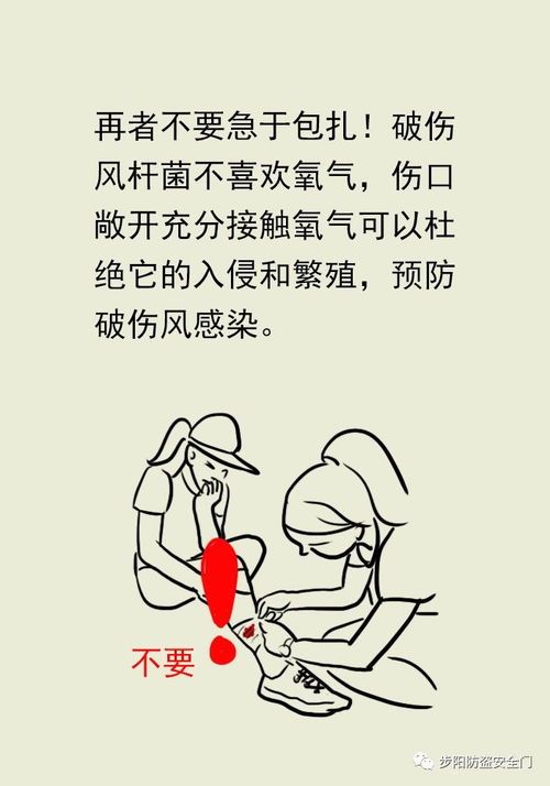 宠物拉肚急救必备常识