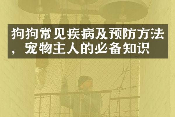 狗狗常见疾病及预防方法，宠物主人的必备知识。