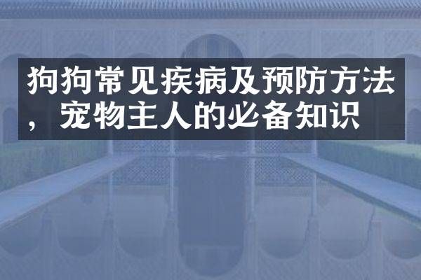 狗狗常见疾病及预防方法，宠物主人的必备知识。