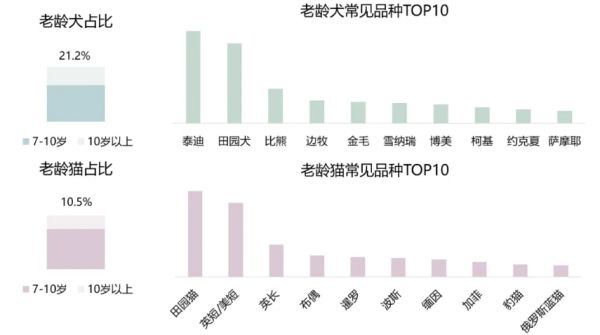 老龄犬猫常见品种TOP10/图源:亚宠研究院《宠物行业蓝皮书:2025老龄宠物消费洞察报告》