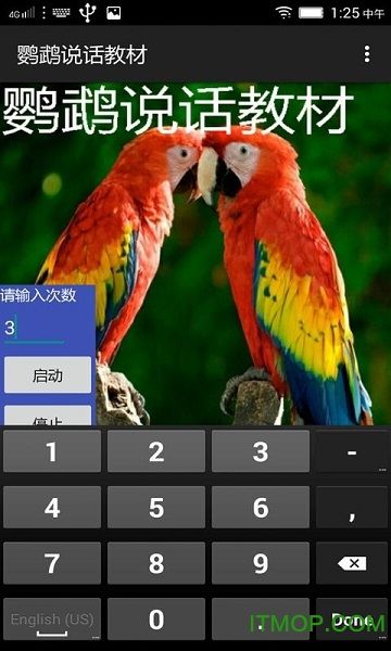 鹦鹉说话教材下载