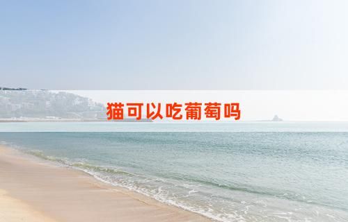 猫可以吃葡萄吗