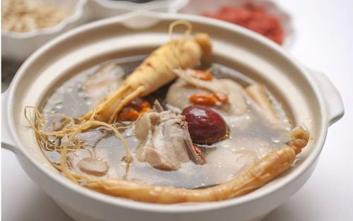 宠物饮食，避开这些禁忌！