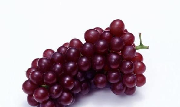 泰迪狗饮食禁忌（保护宠物健康，警惕这些水果的危险）