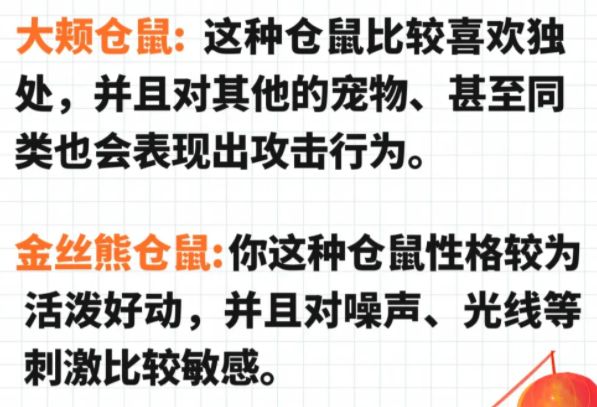 八大最凶的仓鼠,你了解多少?