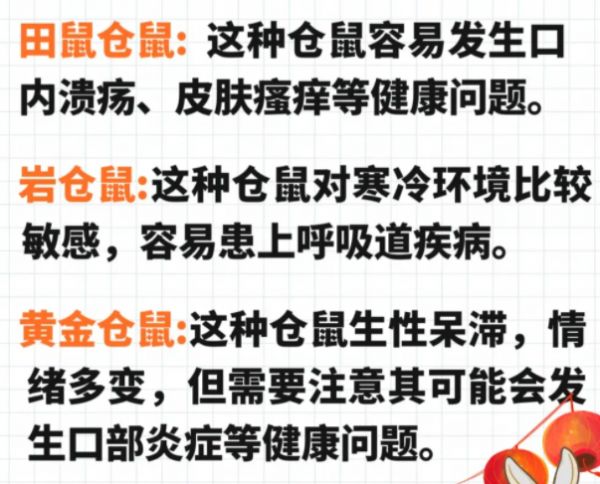 八大最凶的仓鼠,你了解多少?