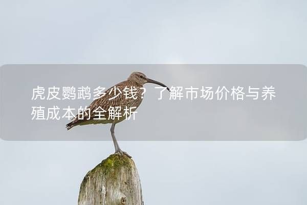 虎皮鹦鹉多少钱？了解市场价格与养殖成本的全解析