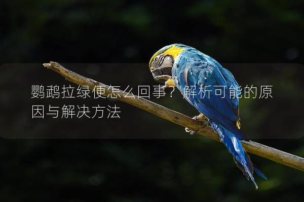 鹦鹉拉绿便怎么回事？解析可能的原因与解决方法