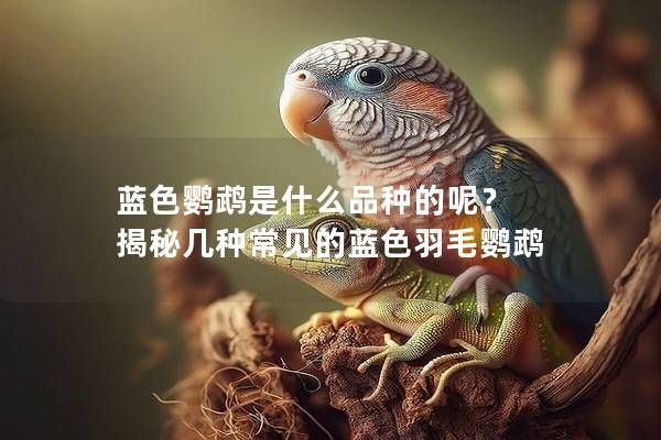 蓝色鹦鹉是什么品种的呢? 揭秘几种常见的蓝色羽毛鹦鹉