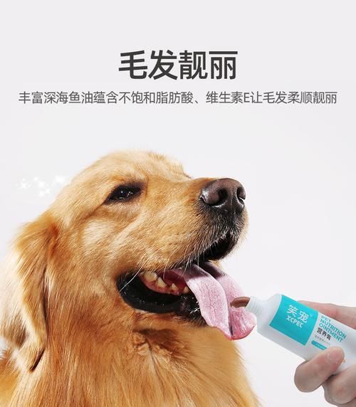 幼犬营养膏推荐指南（为你的幼犬选择最佳营养膏）