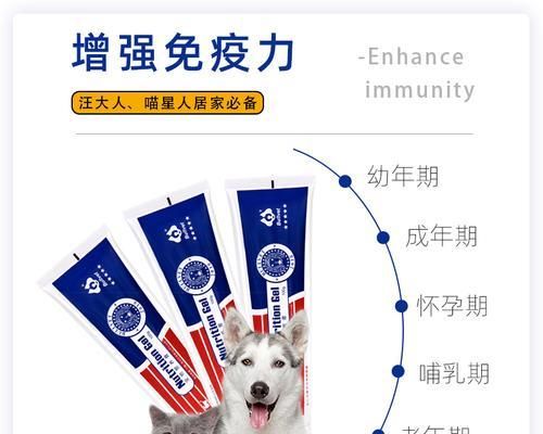 幼犬营养膏推荐指南（为你的幼犬选择最佳营养膏）