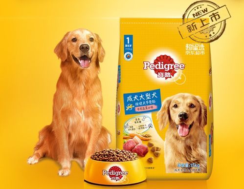 小型犬营养餐，均衡饮食推荐。