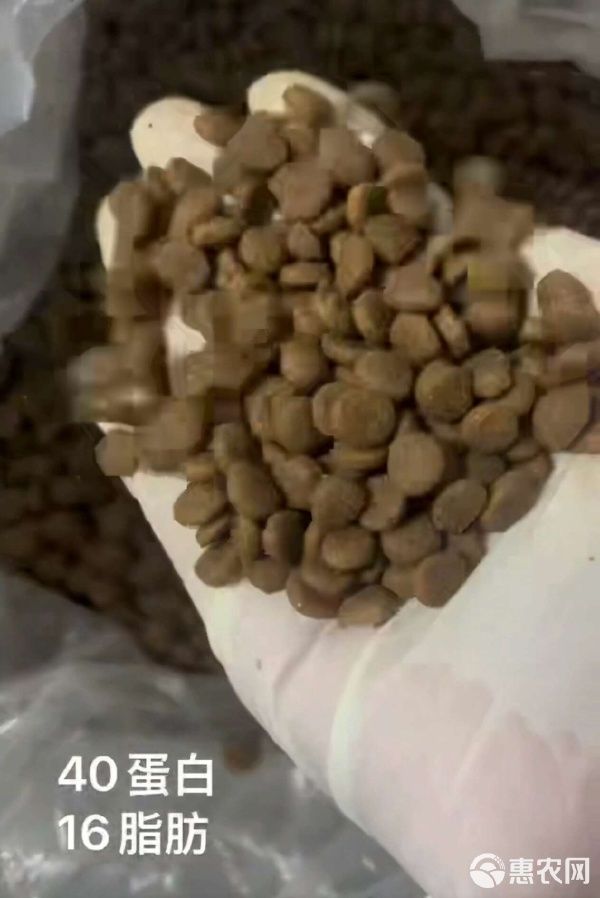 全价宠物食品成年期犬粮