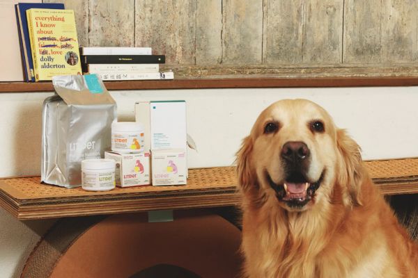 东方草本+现代科技:LitPet如何用“养疗合一”撬动欧美宠物300亿市场?