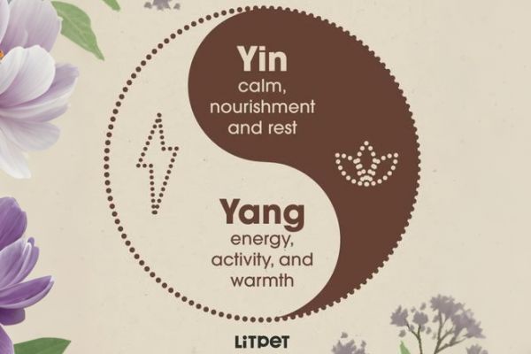 东方草本+现代科技:LitPet如何用“养疗合一”撬动欧美宠物300亿市场?