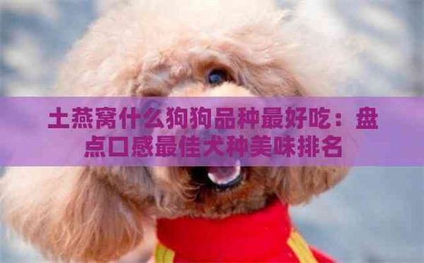 土燕窝什么狗狗品种更好吃：盘点口感更佳犬种美味排名