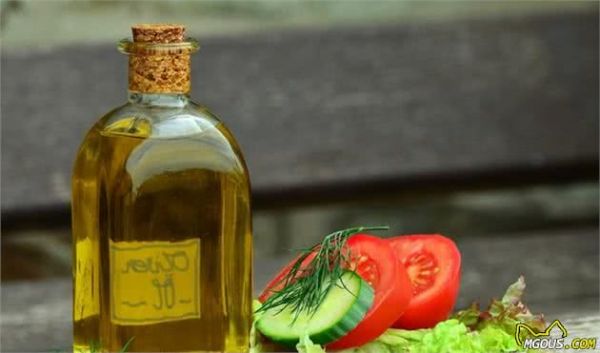 5种对犬毛发有益的食物，想美毛吃这些就对了