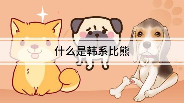 什么是韩系比熊