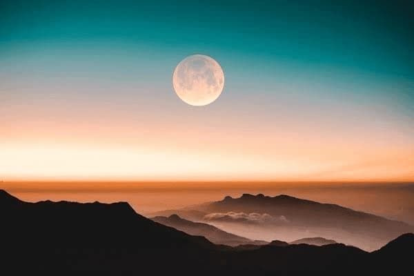 宠物狗怎么养不容易生病,宠物狗怎么养不容易生病呢