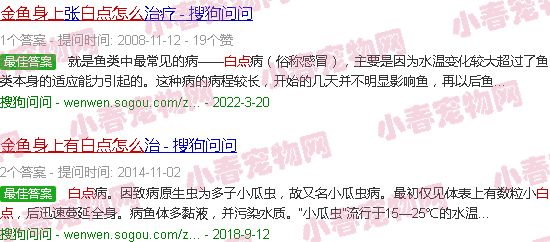 泰狮金鱼身上有白点怎么办