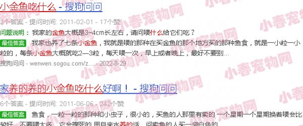 家里养的小金鱼吃什么