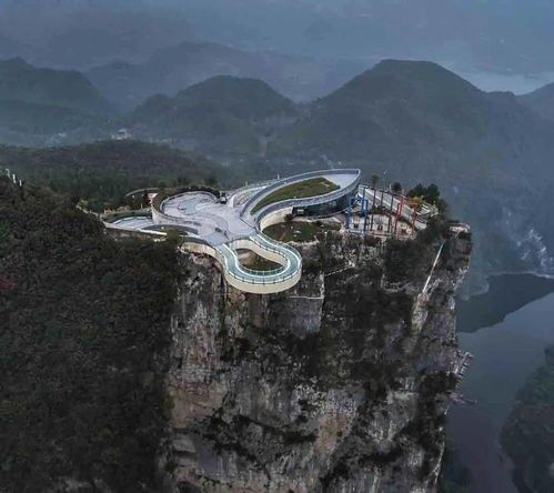 “宠贵宾，营养食谱大公开！”