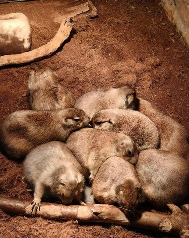 儿童乐园的音乐派对，娃秒变舞台小明星