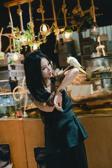 这是一家有很多异宠的店