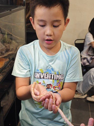 超特别的假期遛娃新路线❤️