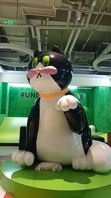 猫咪的梦乡时光