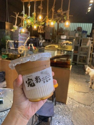 ·&nbsp;汕头探店&nbsp;·&nbsp;异宠咖宠影打卡&nbsp;·