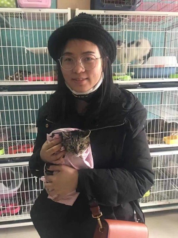 上海静安区正规流浪狗流浪猫救助领养中心
