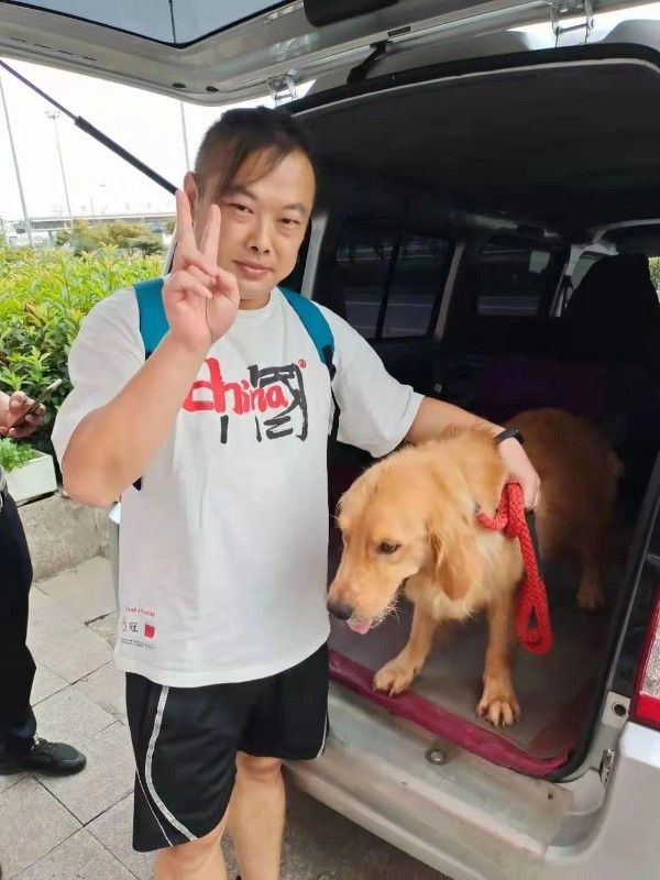 上海静安区正规流浪狗流浪猫救助领养中心