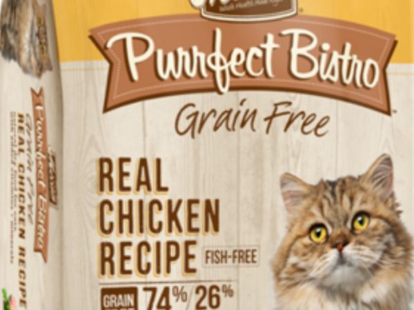 上海办理狗粮进口报关,狗粮进口报关