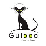 德文卷毛猫咕噜