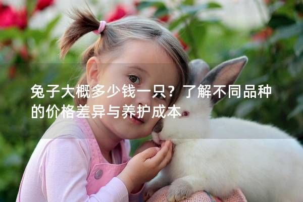 兔子大概多少钱一只?了解不同品种的价格差异与养护成本