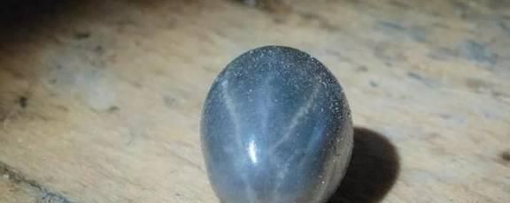 狗体内常见寄生虫的种类及防治方法（了解狗体内寄生虫的种类和防治方法，保护宠物健康）